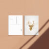 Carte postale Cerf recto verso